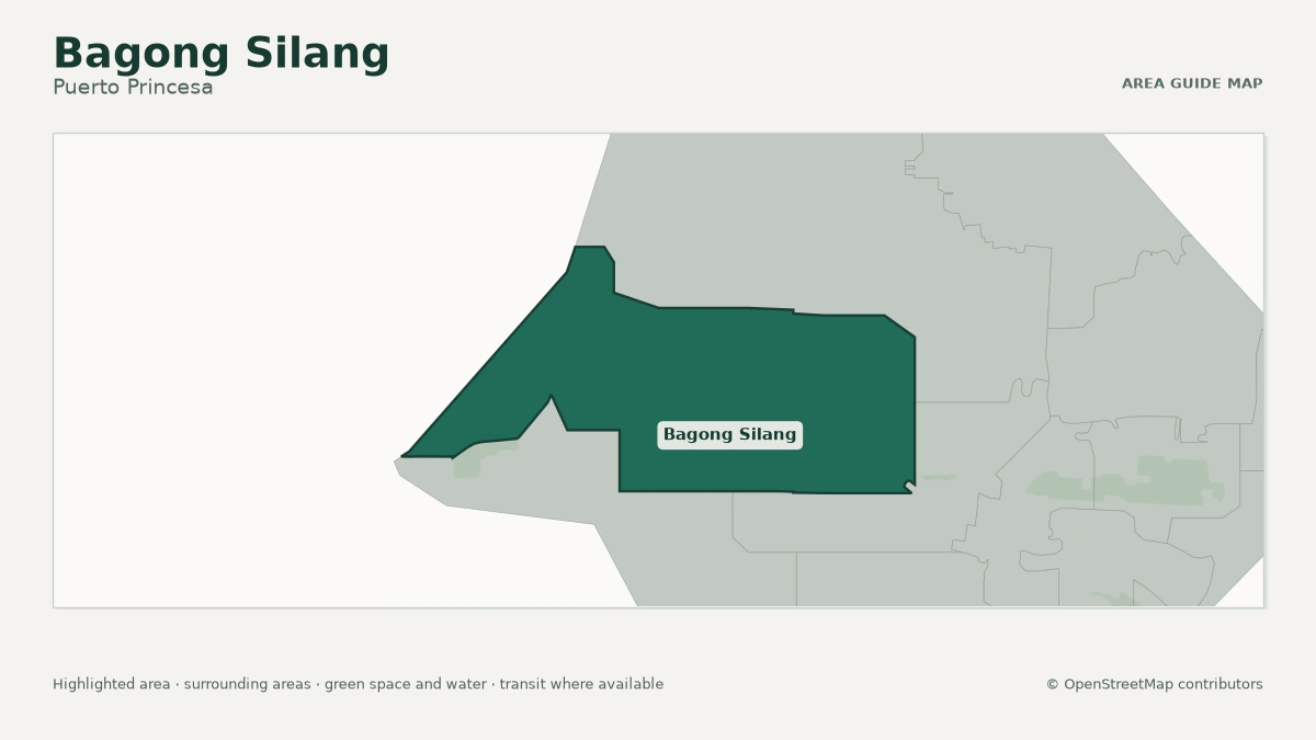 Map of Bagong Silang, Puerto Princesa, showing the commonly known area boundary